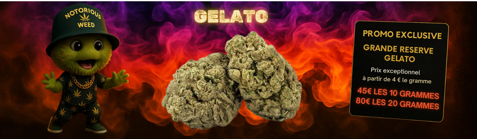 Gelato