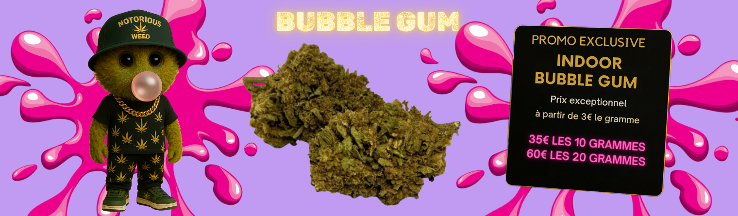 BUBULE_GUM