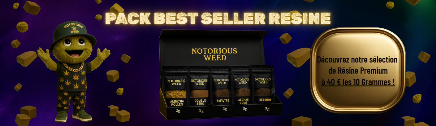 Pack Best Seller Résine