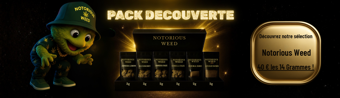 Pack Découverte Notorious Weed