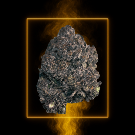 Dark Vador 10-OH-HHC