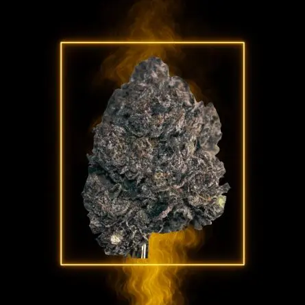 Dark Vador 10-OH-HHC