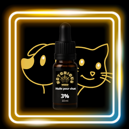 Huile pour chat 3%