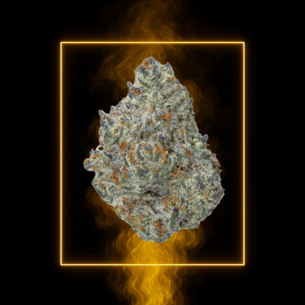 CHOCOLATE THAÏ CBD-X