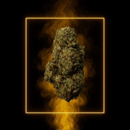 Bruce Banner 10-OH-HHC